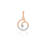 APS00265 - Image 3