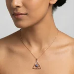 APS00271 - Image 2