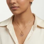 APS00366 - Image 2